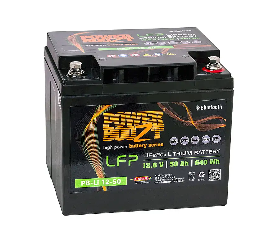 Batteria al litio LiFePO4