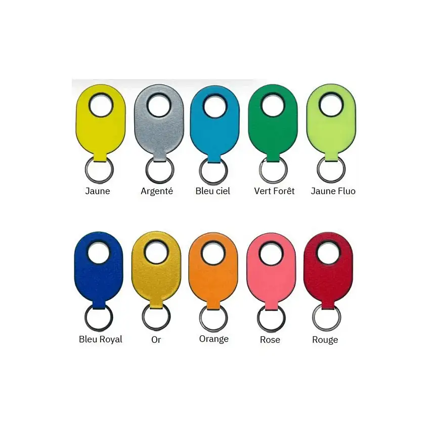1 set di 10 portachiavi- - 1 di ogni colore