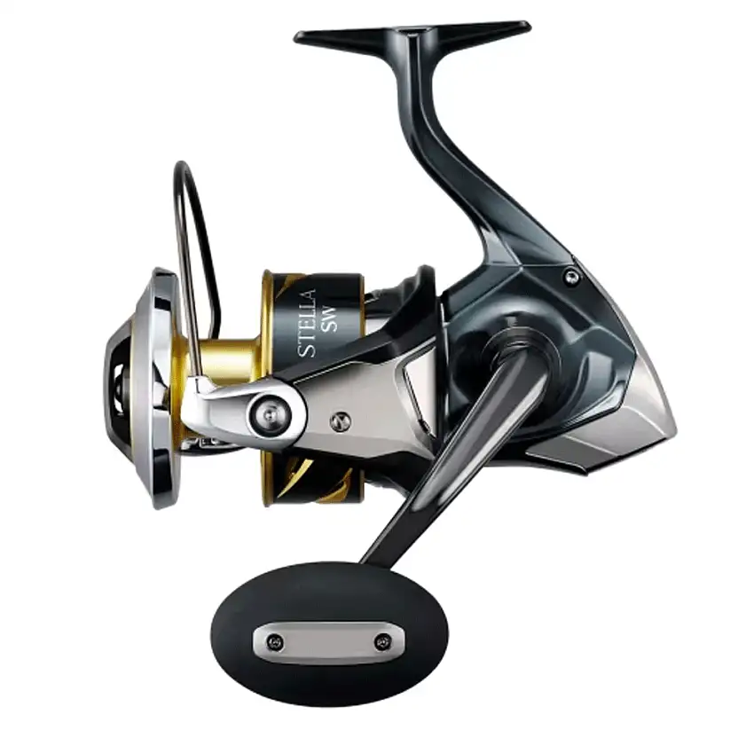Shimano Stella SW D 10000 HG