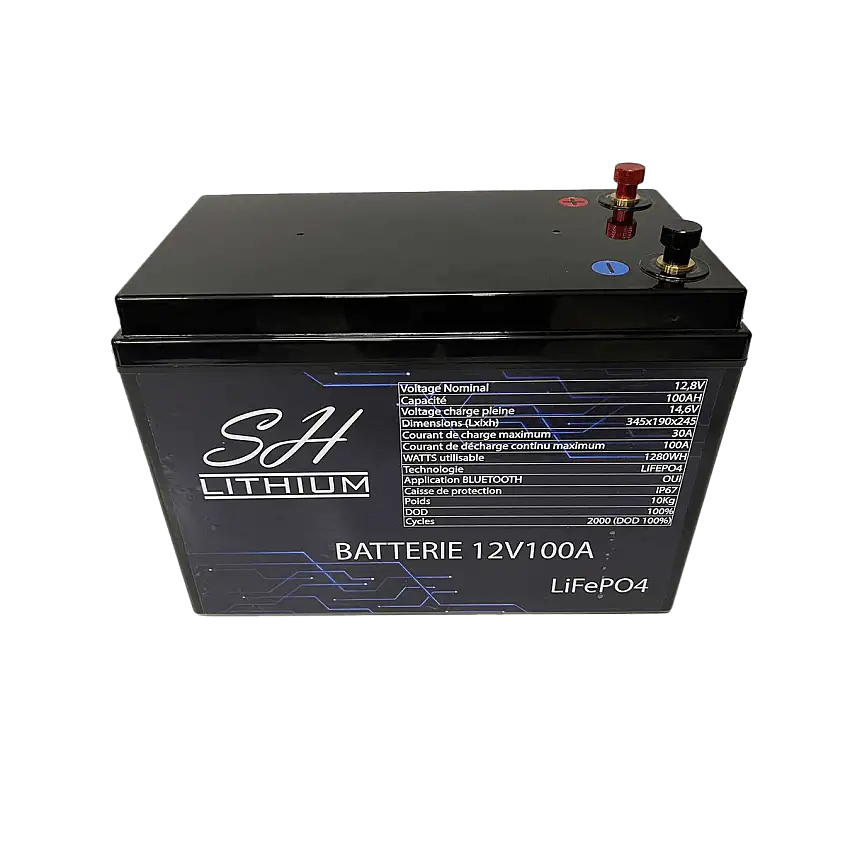 Batteria al litio LiFePO4 12V