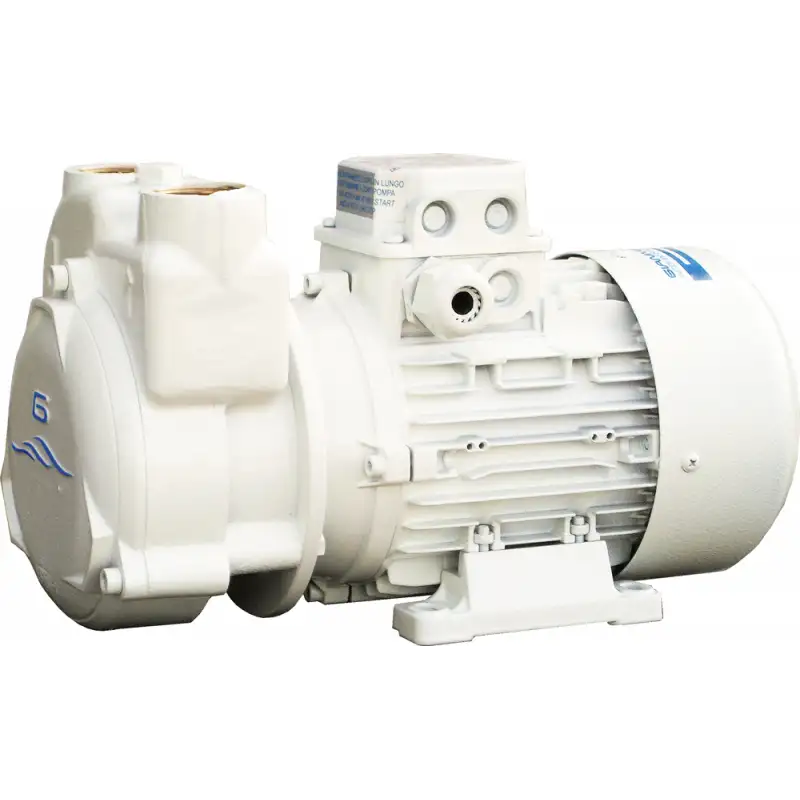 Elettropompa cp30 24 v