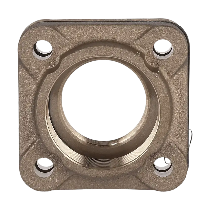 Kit contro le flange della pompa-AM50