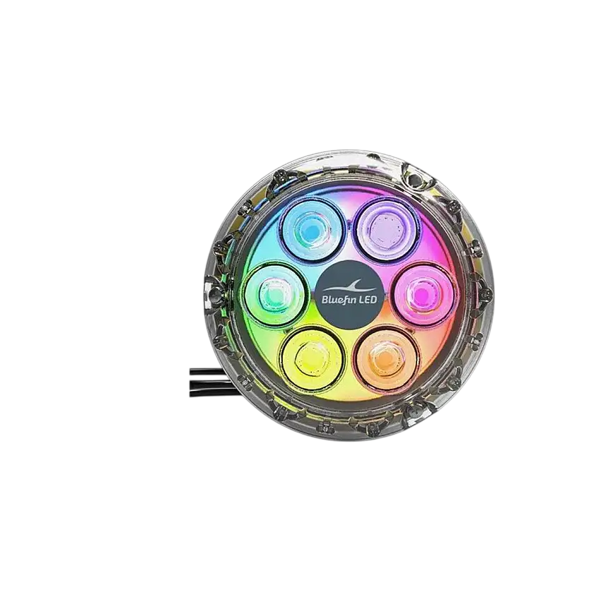 Led subacqueo - Piranha P6 Cambiamento di colore