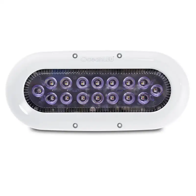 SERIE X16 LED LUCE BLU NOTTE - 4016016 - OCEAN LED