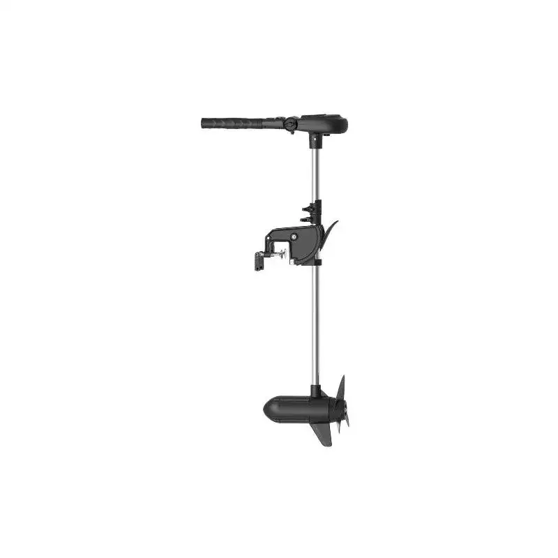 motore haswing protruar 3.0 110 lbs 12v