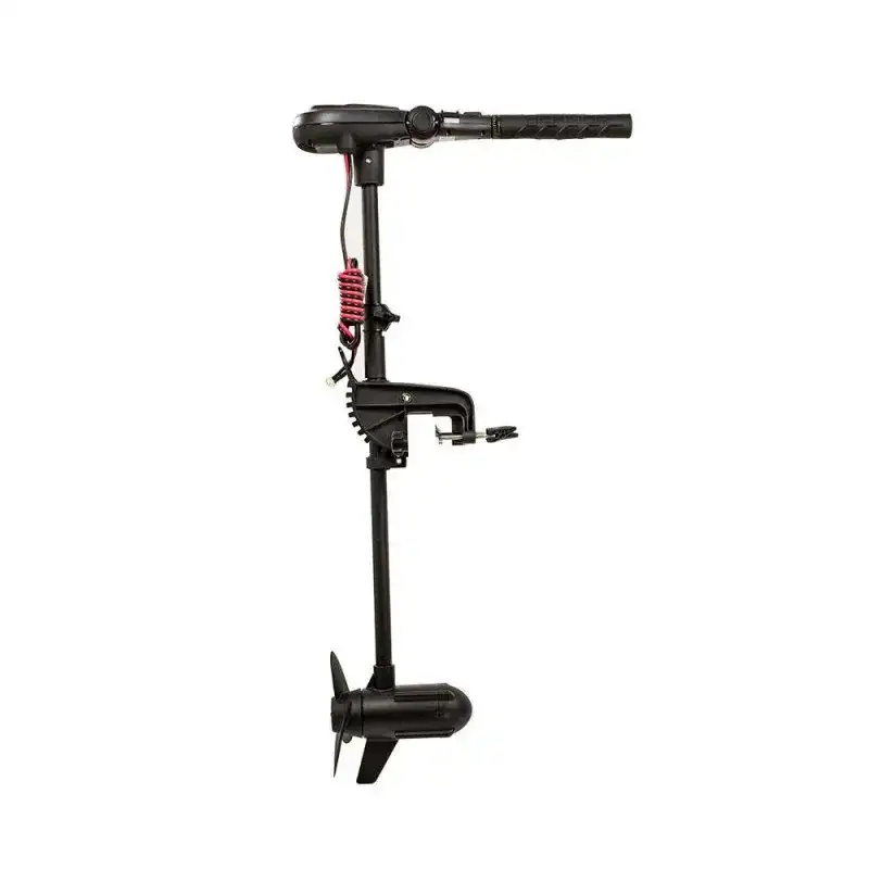 motore haswing protruar 2.0 85 lbs