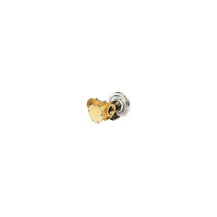 Pompa a frizione elettromagnetica 24V 2A Serie 50270