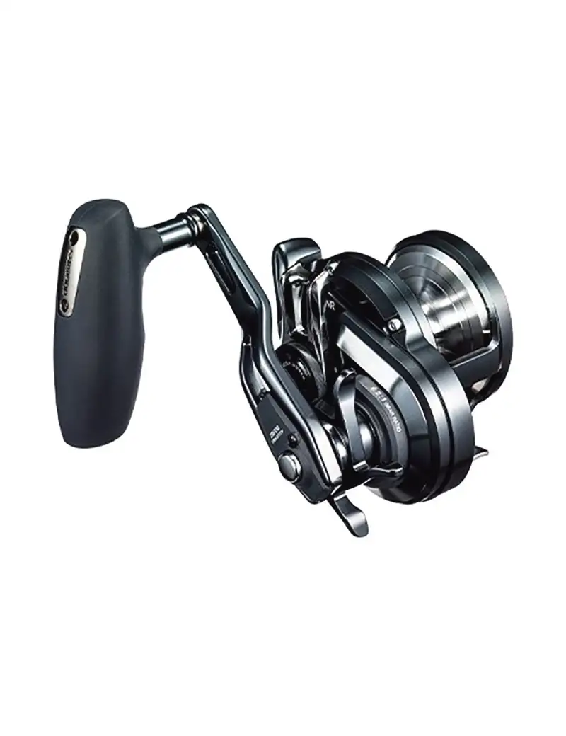 Shimano Ocea Jigger F Custom 2001 NR