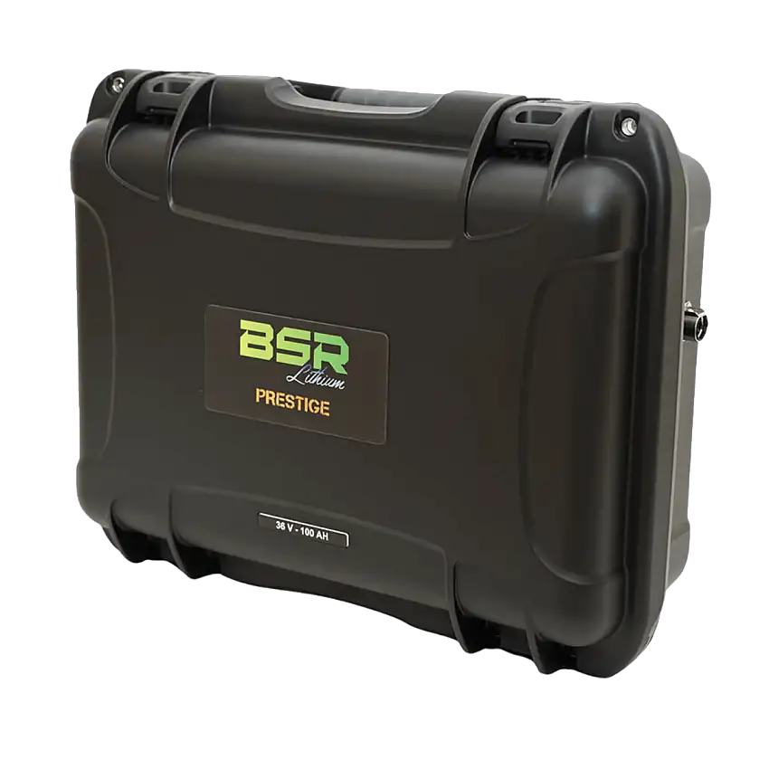 Valigetta al litio BSR Prestige 36V