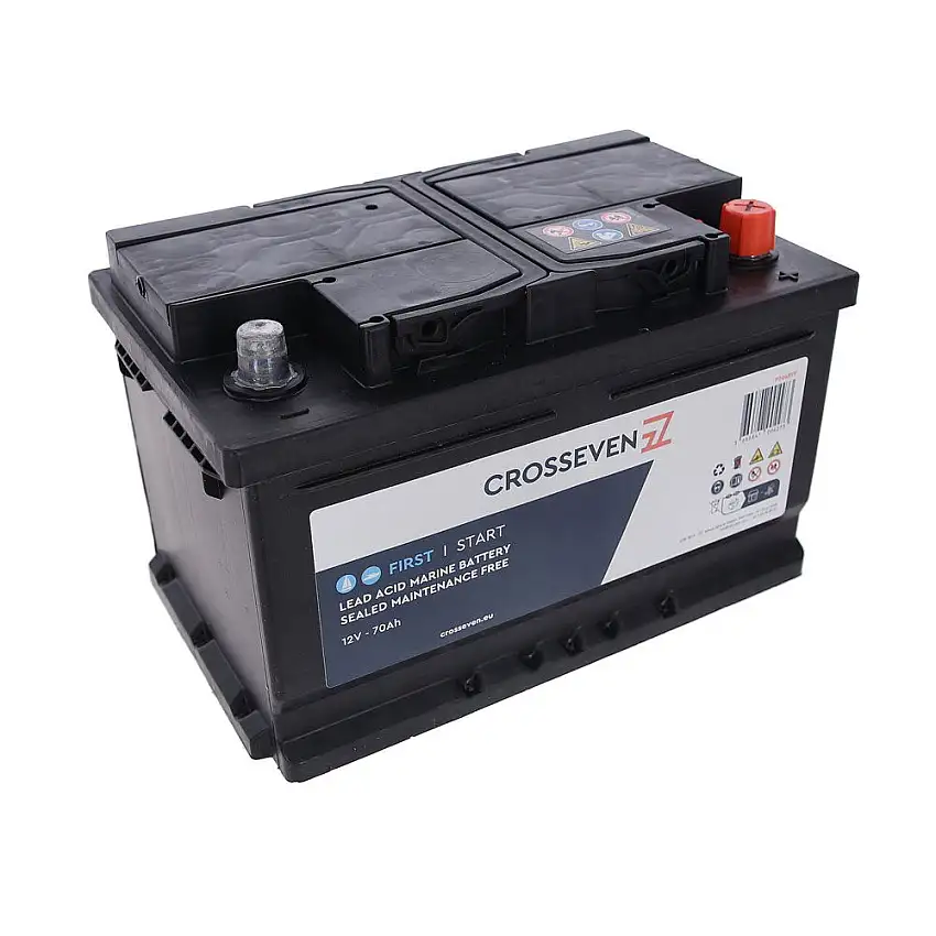 Batteria al piombo Dolphin PRO Marine