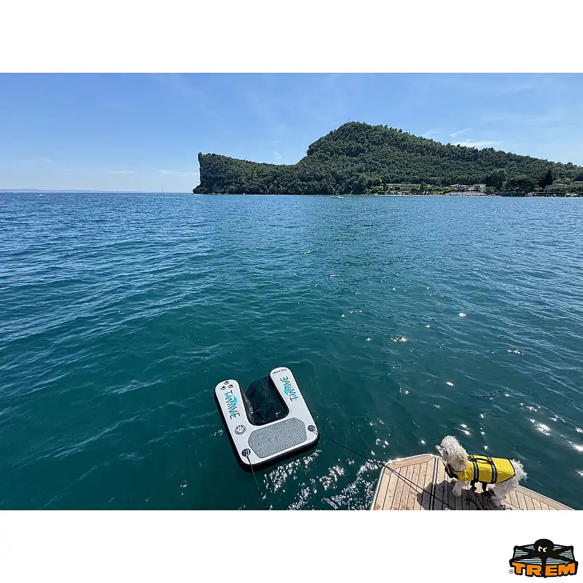 Rampa cani gonfiabile T-WAVE
