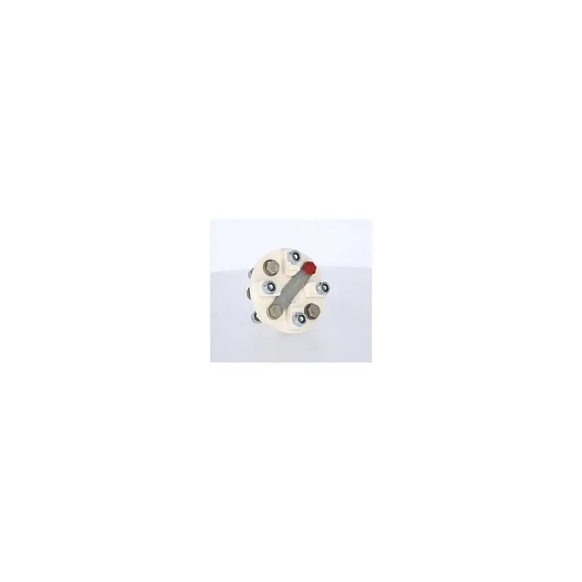 Accoppiamento semielastico-5 HP/100 rpm-Ø trunnion 101.6mm