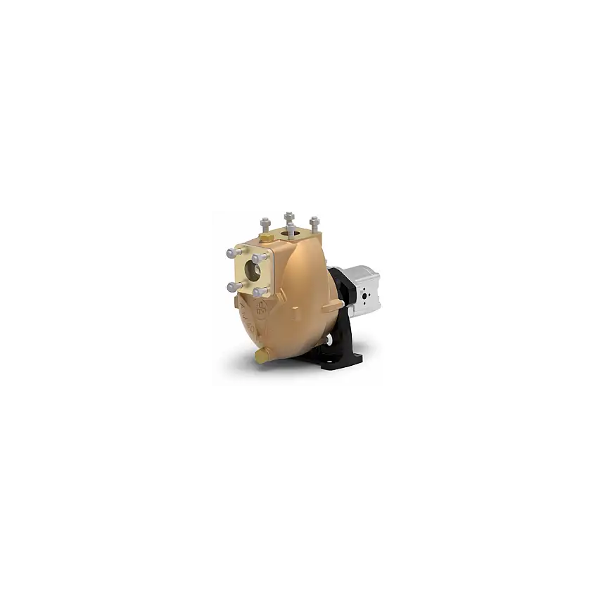 AM40 pompa a frizione elettromagnetica 24V rotazione destra