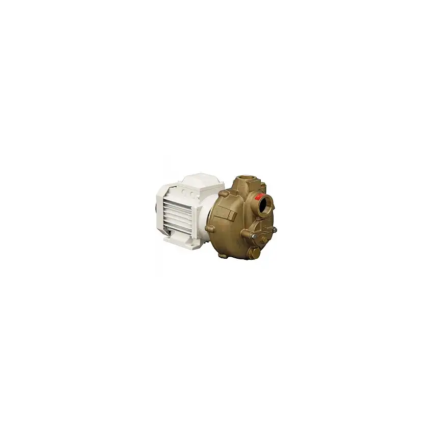 BMA-M 32 elettropompa monofase 230V