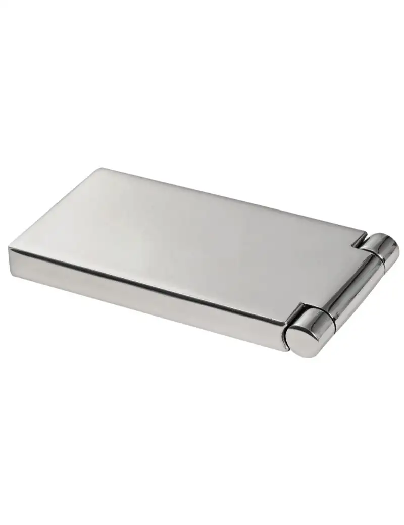 Cerniera Inox a Filo 100x50x10mm