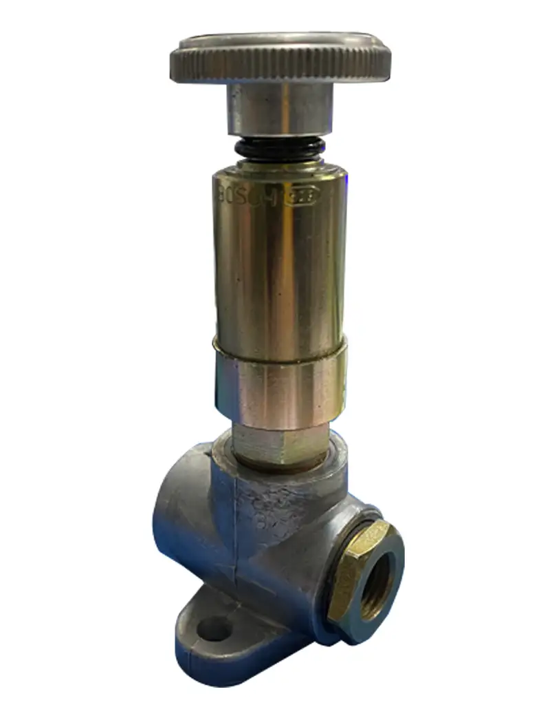 Bosch Pompetta Innesco Carburante