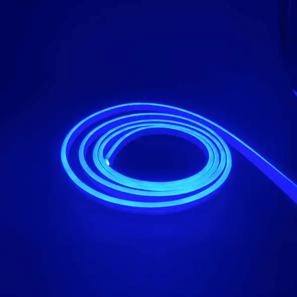 Striscia luminosa LED flessibile 5 mt 24V blu